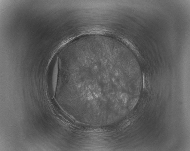 X0000082710675200702161816