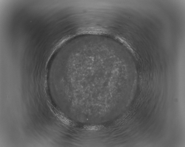 X0000082710679200702161816