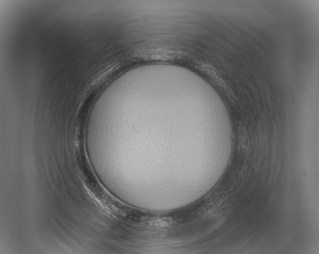 X0000082710683200702161816