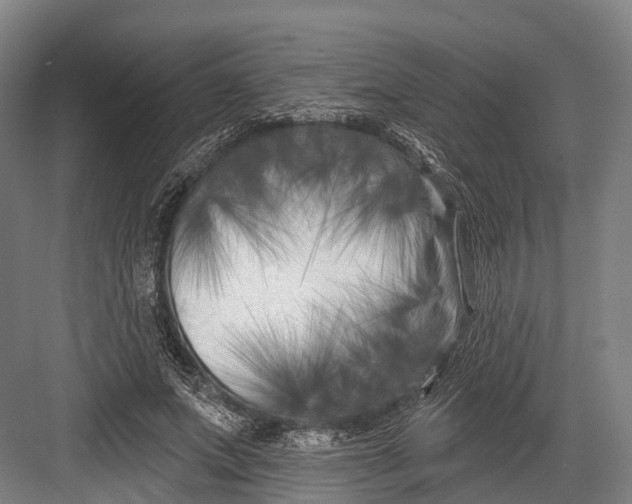 X0000082710687200702161816