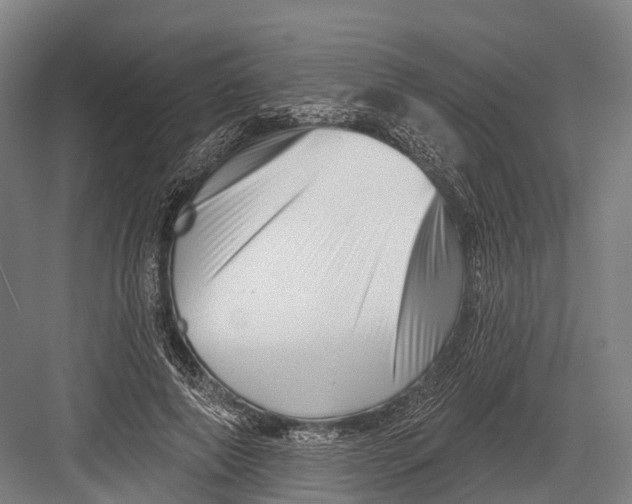 X0000082710690200702161816