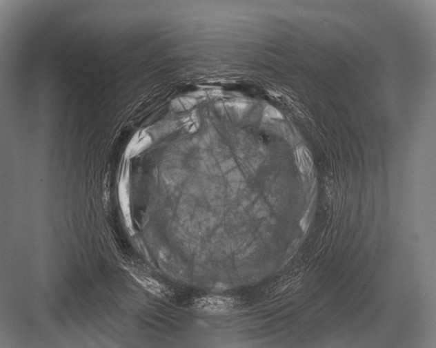 X0000082710691200702161816