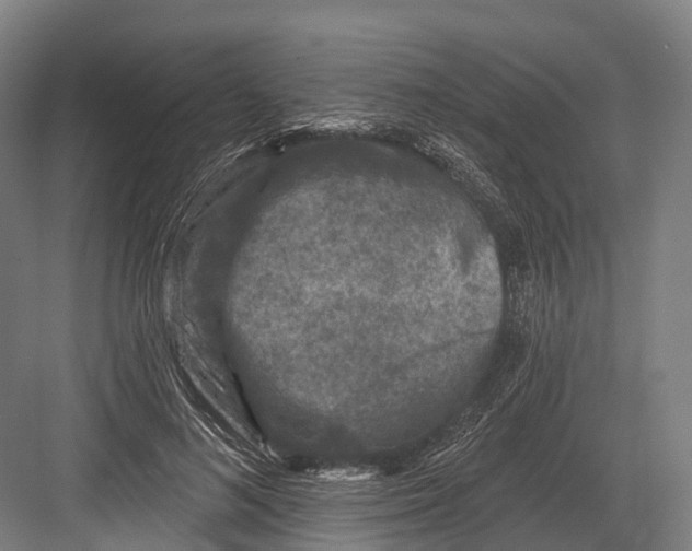 X0000082710692200702161816