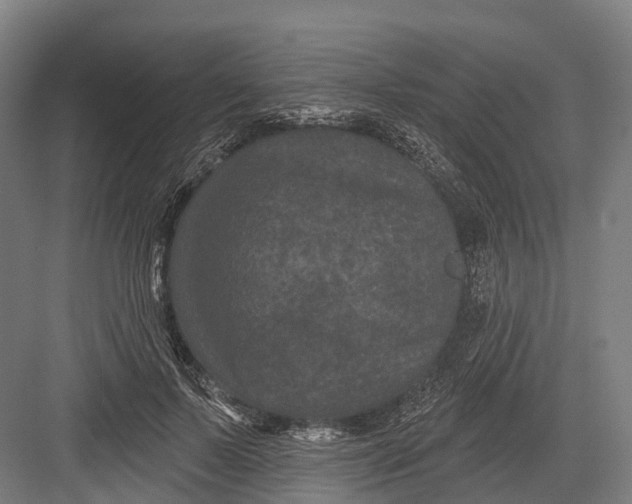 X0000082710695200702161816