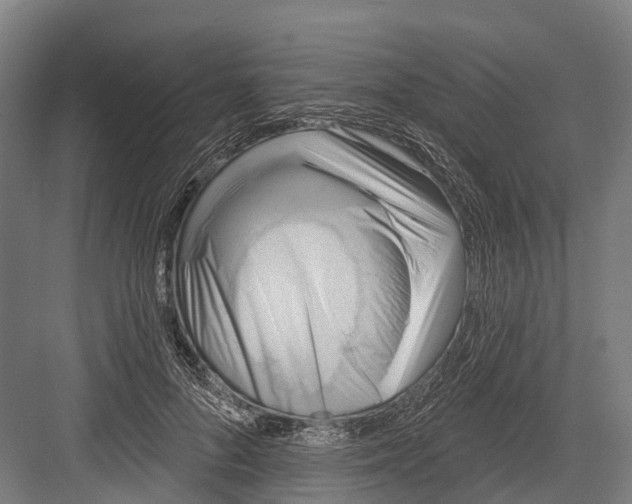 X0000082710696200702161816