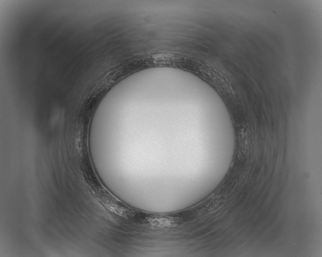 X0000082710698200702161816