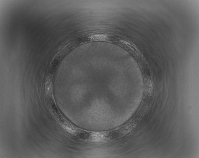 X0000082710701200702161816