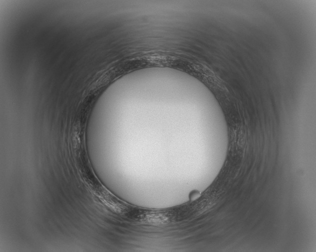 X0000082710702200702161816