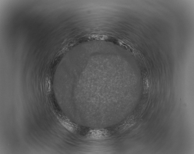 X0000082710703200702161816