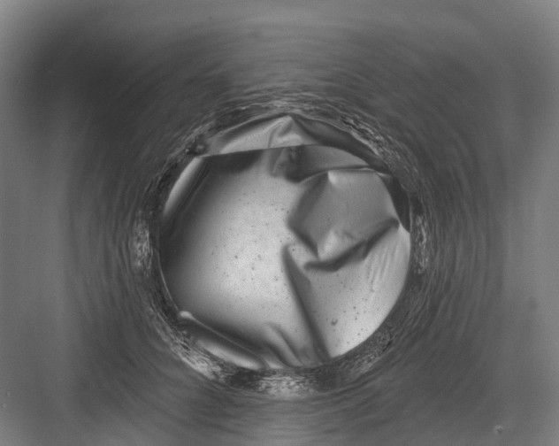 X0000082710704200702161816