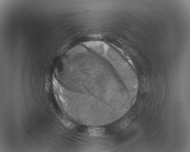 X0000082710707200702161816