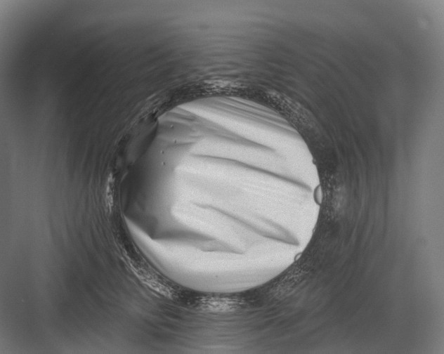 X0000082710710200702161816