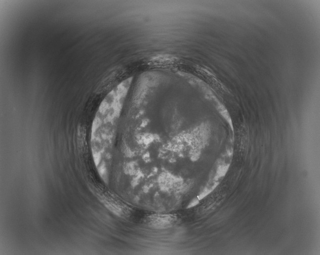 X0000082710711200702161816