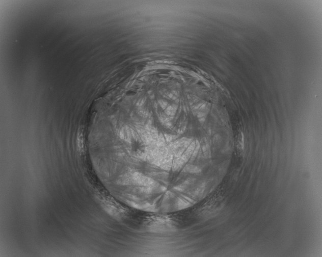 X0000082710715200702161815