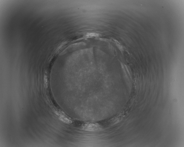 X0000082710716200702161815