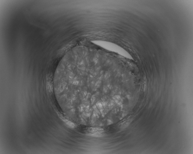 X0000082710719200702161815