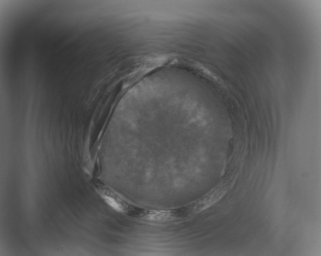 X0000082710720200702161815