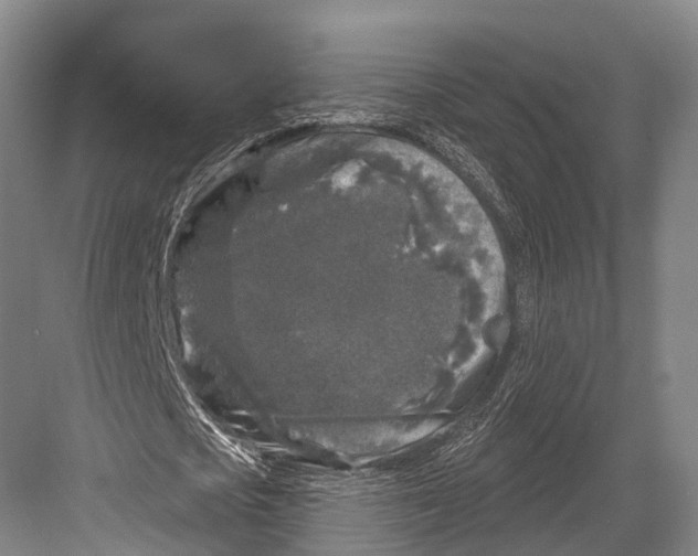 X0000082710721200702161815