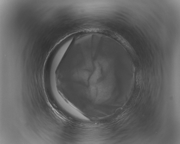 X0000082710722200702161815