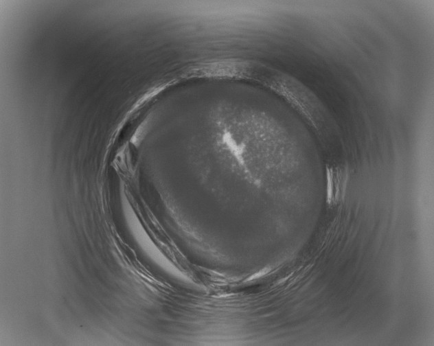 X0000082710723200702161815