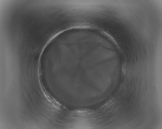 X0000082710724200702161815