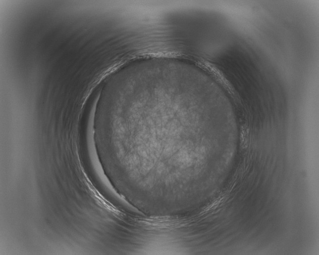 X0000082710725200702161815