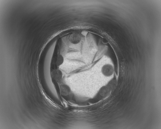 X0000082710726200702161815