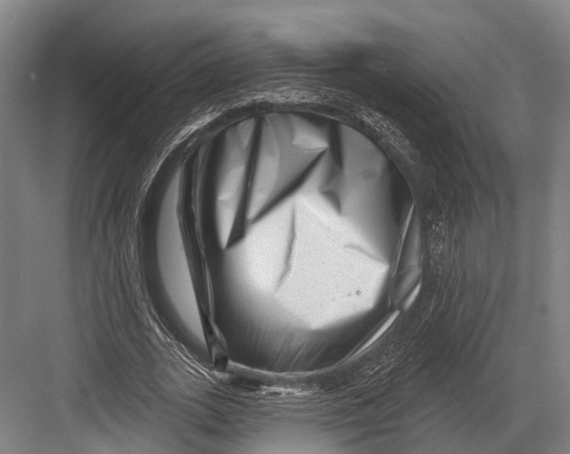 X0000082710727200702161815