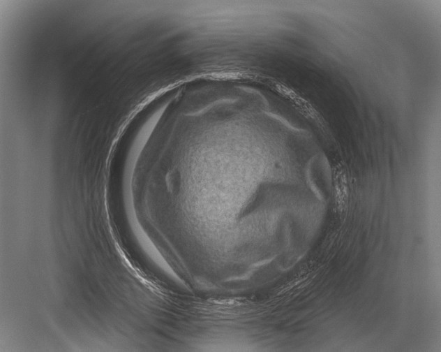 X0000082710728200702161815