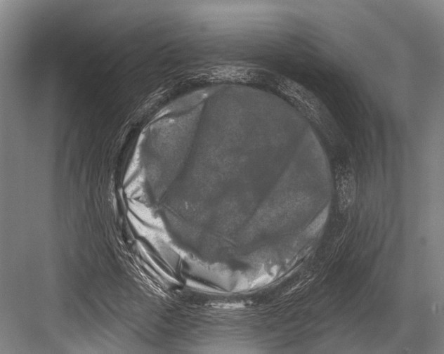 X0000082710729200702161815