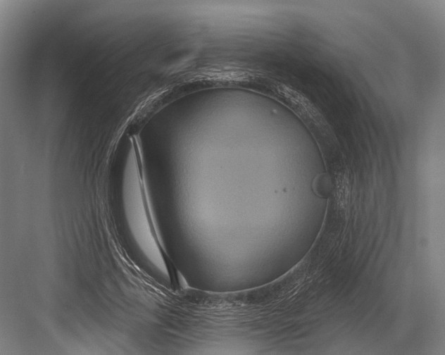 X0000082710731200702161815