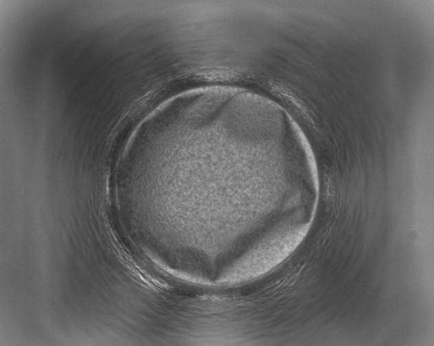 X0000082710733200702161815