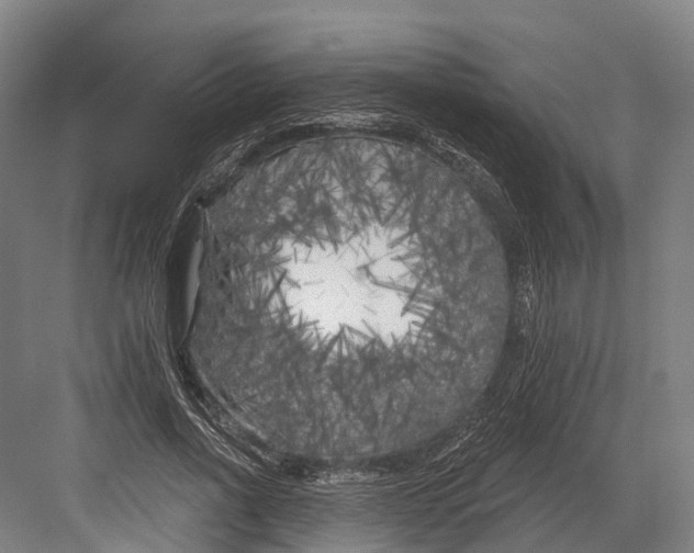 X0000082710734200702161815