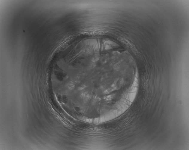 X0000082710735200702161815