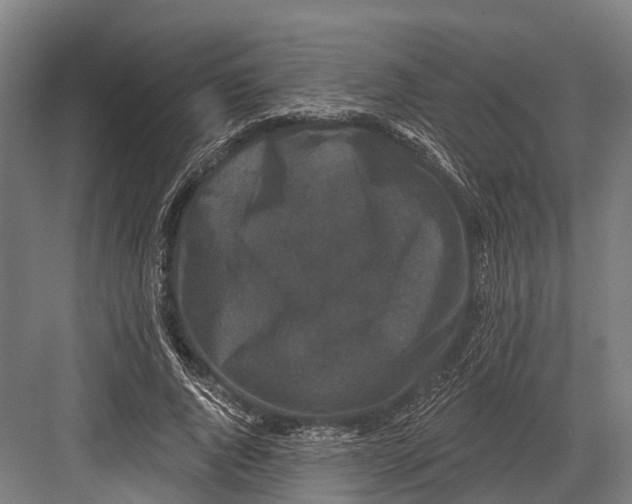 X0000082710736200702161815