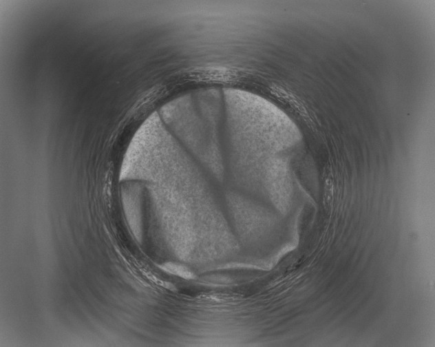 X0000082710739200702161815