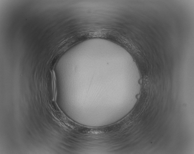 X0000082710741200702161815