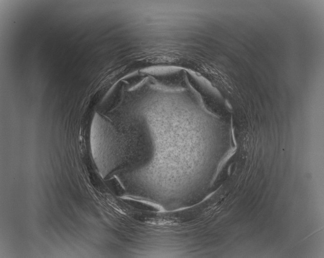 X0000082710743200702161815