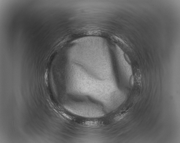 X0000082710744200702161815