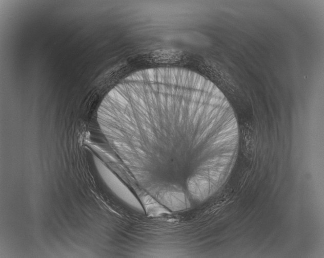 X0000082710745200702161815