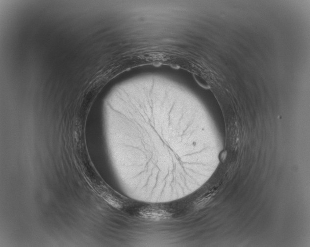 X0000082710747200702161815