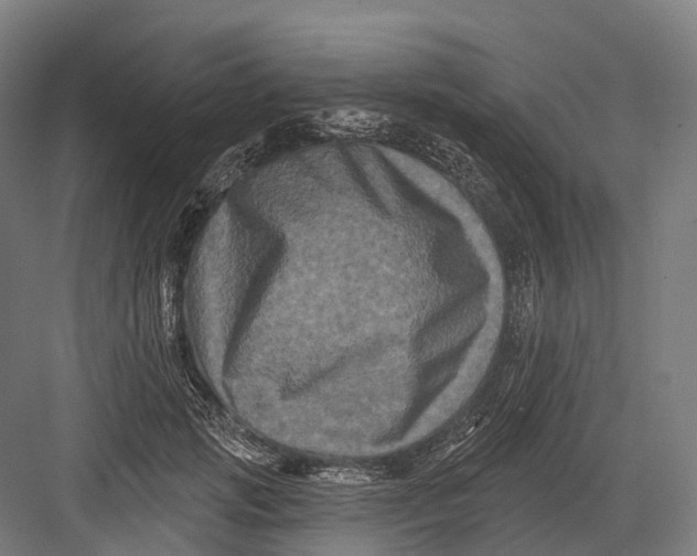 X0000082710749200702161815