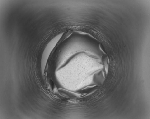 X0000082710750200702161815