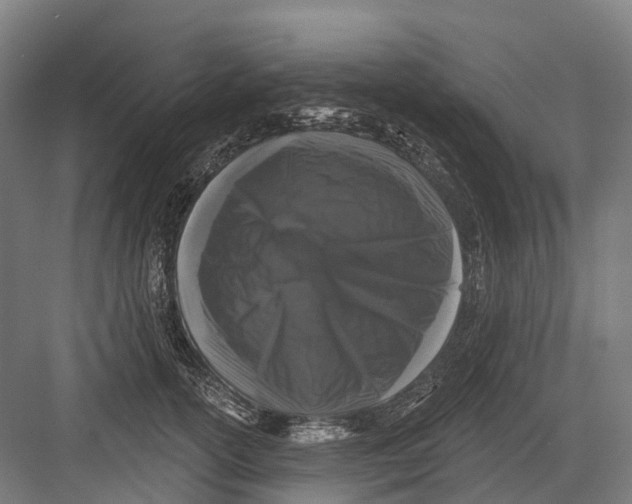 X0000082710754200702161815