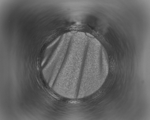 X0000082710755200702161815