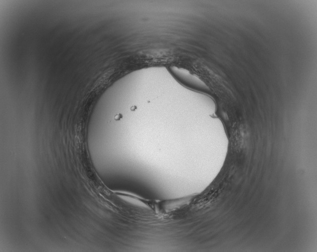 X0000082710756200702161815