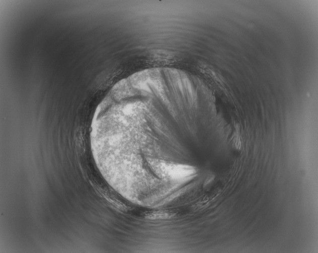 X0000082710759200702161815