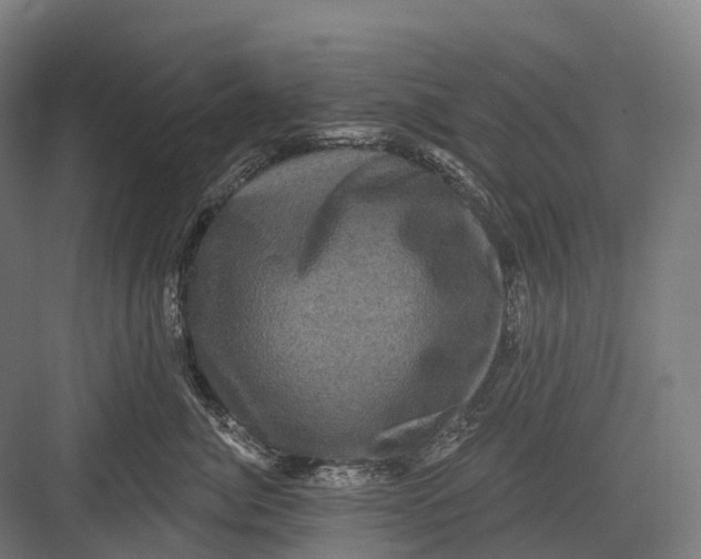 X0000082710764200702161815