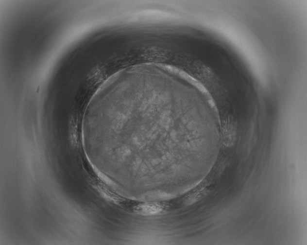 X0000082710765200702161815