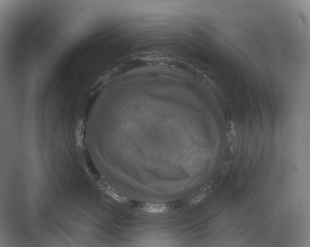 X0000082710767200702161815